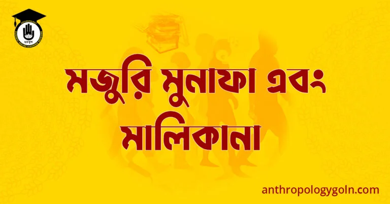 মজুরি মুনাফা এবং মালিকানা
